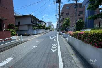 敷地南西側の前面道路（北西側から）