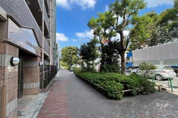 敷地北東側の前面道路（都道318号環状七号線）