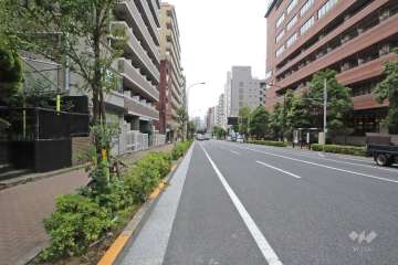 敷地南西側の前面道路