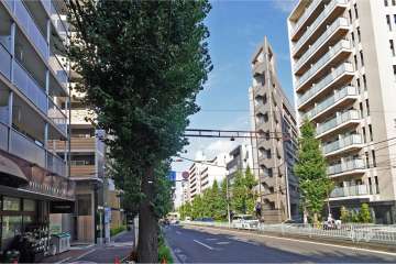 敷地南東側の前面道路（南西側から）