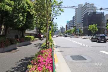 敷地南西側の前面道路(北西側から)