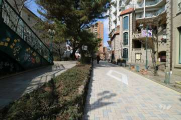 敷地南側の前面道路（花のみち）