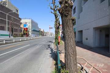 敷地北西側の前面道路