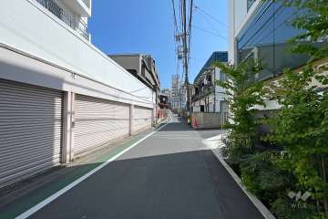 敷地西側の前面道路（北側から）