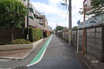 敷地西側の前面道路(北側から)