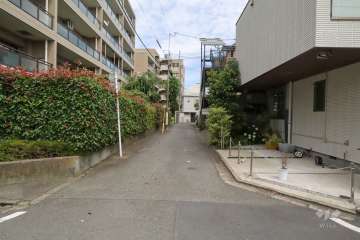 敷地南側の前面道路(西側から)