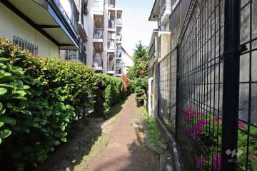 敷地南側の前面道路(西側)