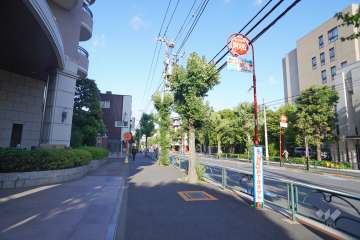 敷地南側の前面道路（西側から）