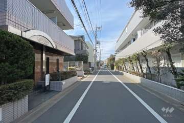 敷地北側の前面道路（西側から）