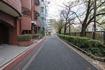 敷地北側の前面道路（東側から）