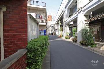 敷地南東側の前面道路(南西側から)