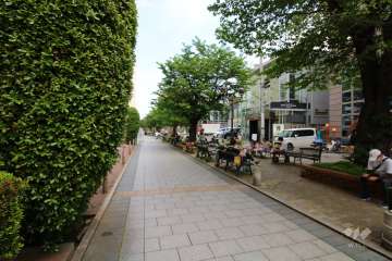 敷地南東側の前面道路（南西側から）