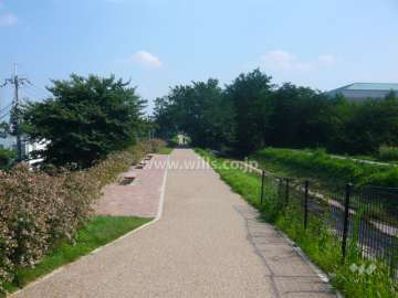敷地の西側を流れる天王寺川沿いの遊歩道