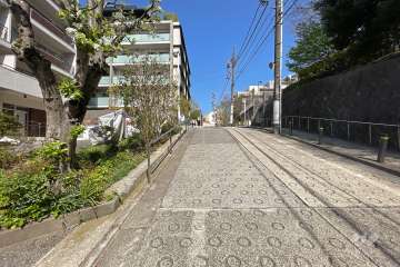 敷地南東側の前面道路（南西側から）