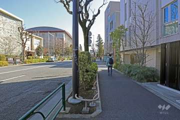 敷地の北東側前面道路は駒沢通りです。