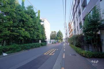 敷地東側の前面道路　