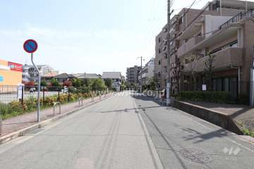 敷地東側の前面道路