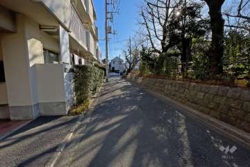 敷地南の前面道路（西側から）