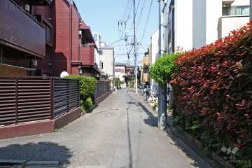 敷地南側の前面道路(西側から)