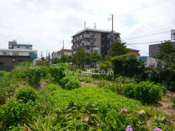 敷地の南側には畑が広がっています