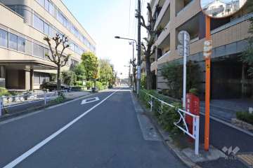 敷地東側の前面道路（北側から）