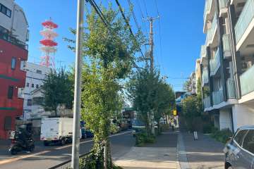 敷地西側の前面道路（南側から）