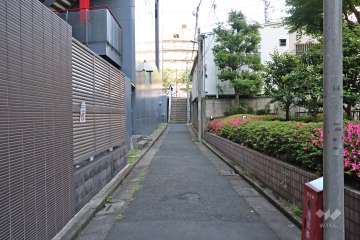 敷地南側の前面道路(北側から)