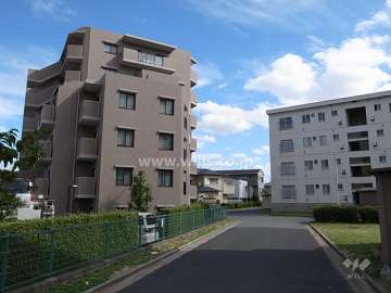 敷地南側には団地があります。