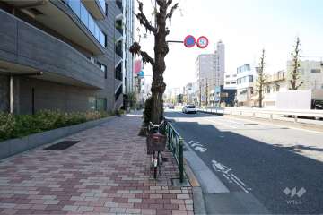 敷地北西側の前面道路(北東側から)