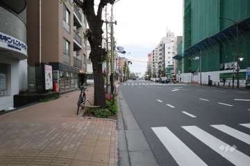 敷地南側の前面道路(西側から)