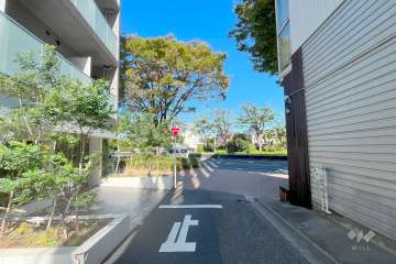 敷地東側の前面道路（南側から）
