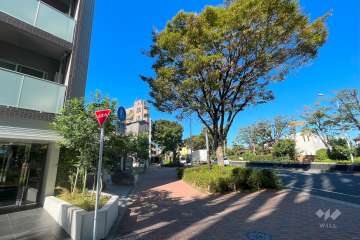 敷地北側の前面道路（東側から）