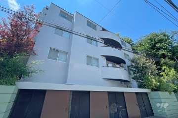 リノア目黒大橋の外観（南東側から）