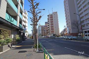 敷地南東側の前面道路（南西側から）