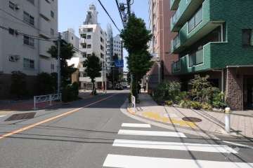 敷地南東側の前面道路(野沢通り・北東側から)