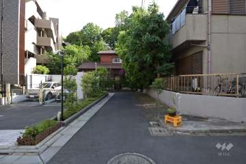 敷地西側の前面道路（北側から）