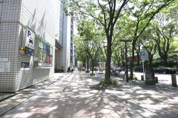 敷地西側の前面道路（北側から）