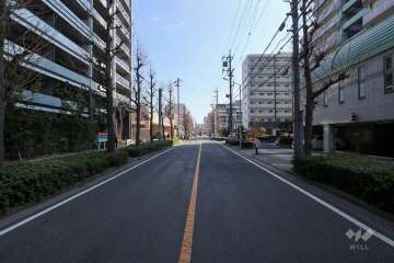敷地南側の前面道路(西側から)