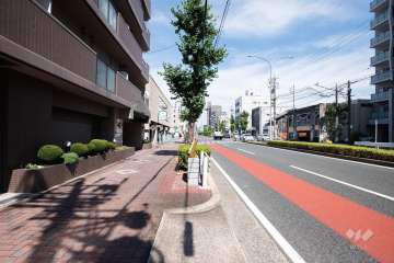 敷地南側の前面道路（西側から）