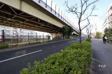 敷地西側の前面道路(南側から)