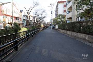 敷地東側の前面道路(北側から)