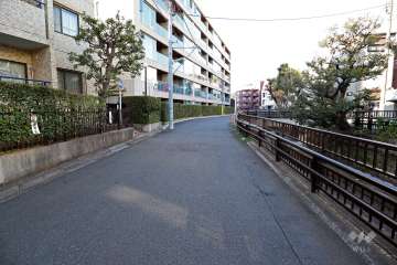 敷地東側の前面道路(南側から)