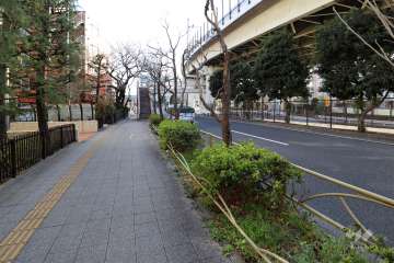 敷地西側の前面道路(北側から)