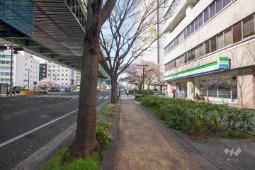 敷地北側の前面道路（西側から）