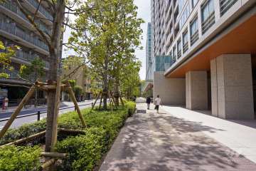 敷地南側の前面道路（東側から）