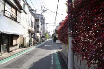 敷地の南東側前面道路(北東側から)