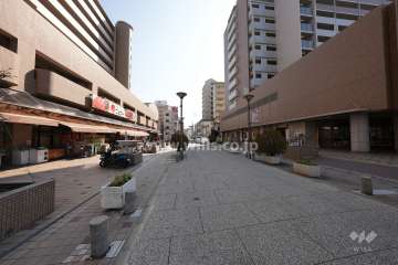 敷地の東側前面道路。タイル舗装されています。