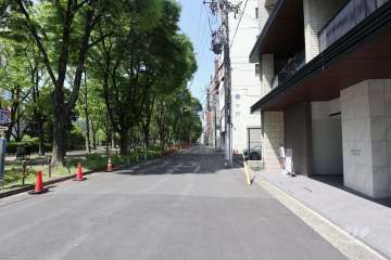 敷地西側の前面道路（南側から）　道路を挟んで『白川公園』に隣接しています。