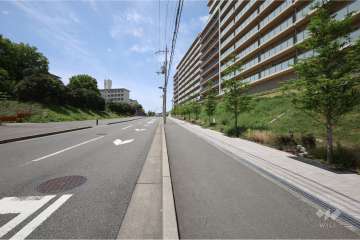 敷地南側の前面道路