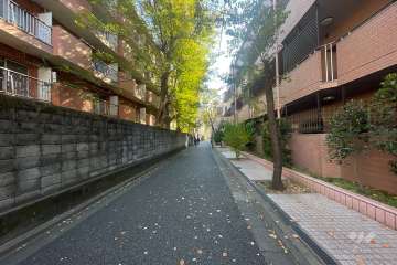 敷地の東側道路